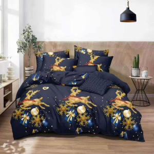 564051814_1152030937066727_2266982886005633578_n